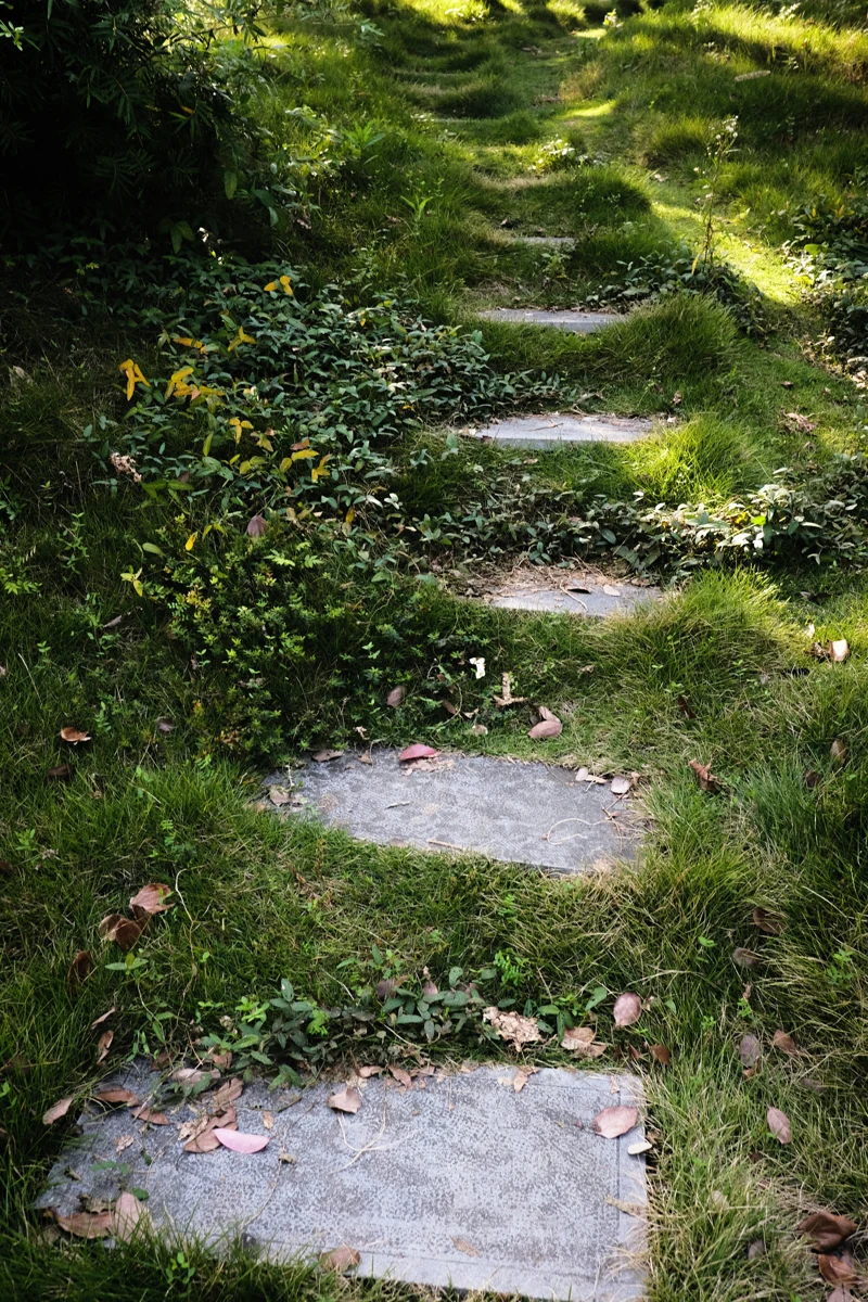 Uneven stone steps through a quiet green woodland path.